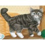 Puzzle In Cutie Animale, 12 Piese Ravensburger - 5